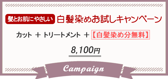 白髪染めお試しキャンペーン