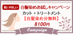 白髪染めキャンペーン